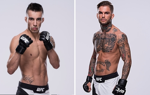 Análise Thomas Almeida vs Cody Garbrandt UFC 29 maio 2016 Artigos