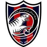 Nassaji logo