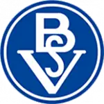 Bremer SV logo