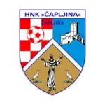 HNK Čapljina logo