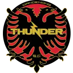 Dandenong Thunder SC logo