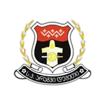 FC Aragvi Dusheti logo