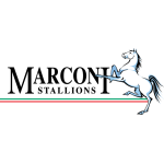 Marconi Stallions FC logo
