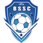 Blue Star SC logo