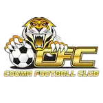 Cooma Tigers FC logo