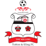 Totton & Eling FC logo