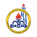 Naft Masjed Soleyman FC logo