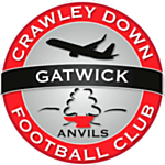Crawley Down Gatwick FC logo