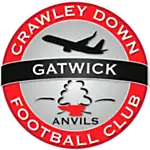 Crawley Down Gatwick FC logo