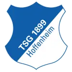 Hoffenheim logo