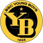 BSC Young Boys logo