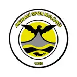 Arhavi Spor Kulübü logo