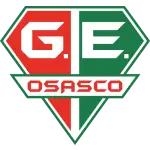 Grêmio Esportivo Osasco Under 19 logo