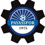 Payas logo