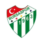 Bursaspor logo