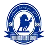 Bayadh logo