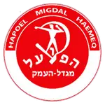 H Migdal logo