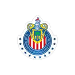 Guadalajara Under 20 logo