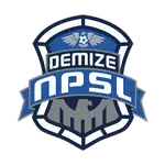 Demize NPSL logo