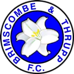 Brimscombe & Thrupp FC logo