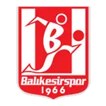 Balıkesir Spor Kulübü Under 21 logo