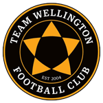 Team Wellington logo