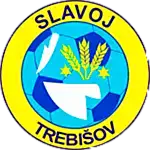 Slavoj logo