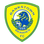 Canterbury Bankstown Berries FC logo