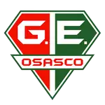 Grêmio Osasco Audax EC logo