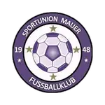 Union Mauer logo