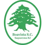 Boavista SC Under 20 logo