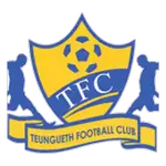 Teungueth logo