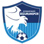 Büyükşehir Belediye Erzurum Spor Kulübü Under 19 logo