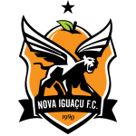 Nova Iguaçu Futebol Clube Under 20 logo
