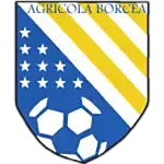 Ag. Borcea logo
