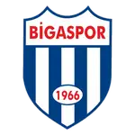 Bigaspor logo