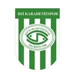 DSİ Karadeniz logo