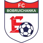 FK Bobruichanka Bobruisk logo