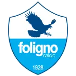 ASD Città di Foligno logo