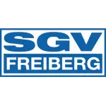 SGV Freiberg logo