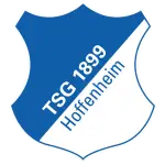 Hoffenheim II logo