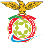 RM Hamm logo