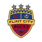 Flint City logo