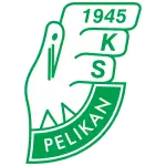 Pelikan Łowicz logo
