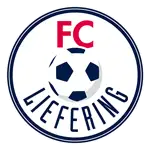 Liefering logo