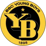 Young Boys B logo