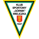 Górnik Wieliczka logo