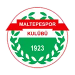 Maltepe Spor Kulübü logo