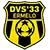 DVS logo