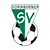 DSV logo